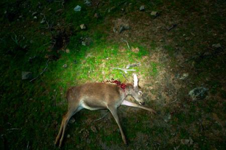 suggestion: blank paper